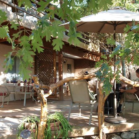 Wikiup Hummingbird Hotel 줄리안 외부 사진
